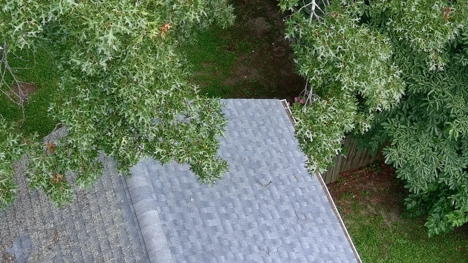 Lake Ronkonkoma NY Roof Under Trees in Lake Ronkonkoma, NY
