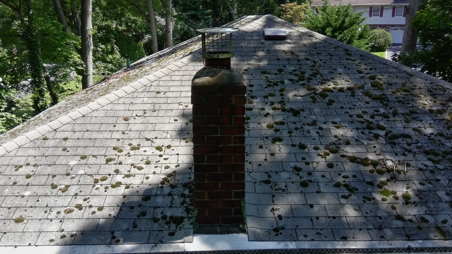 Nesconset Ny Moss Chimney Roof in Nesconset, NY