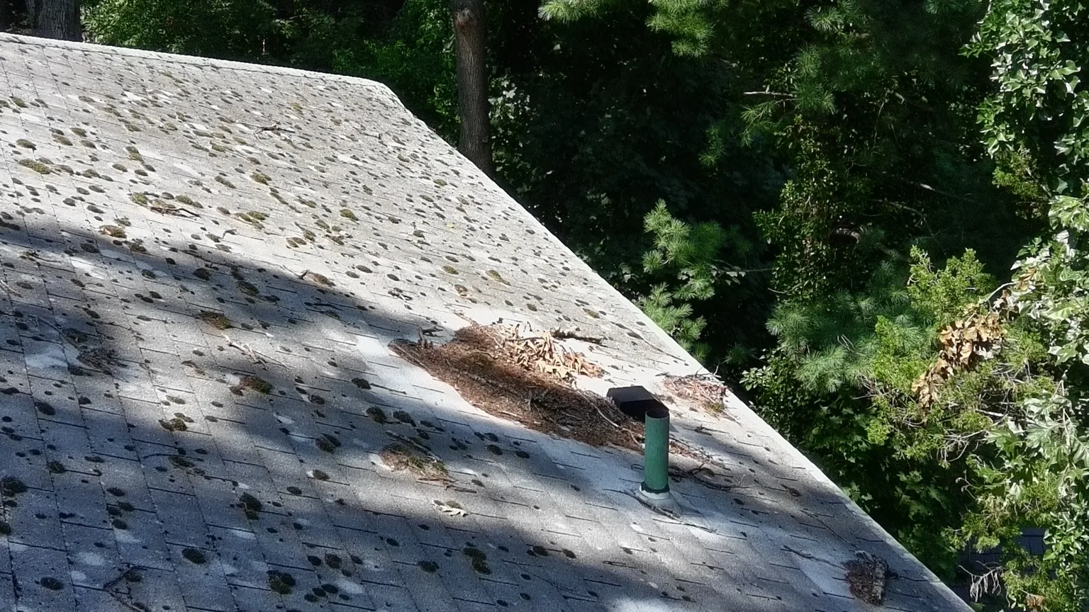 Heavy moss growth and tree-related deterioration found during roof inspection in Nesconset, NY