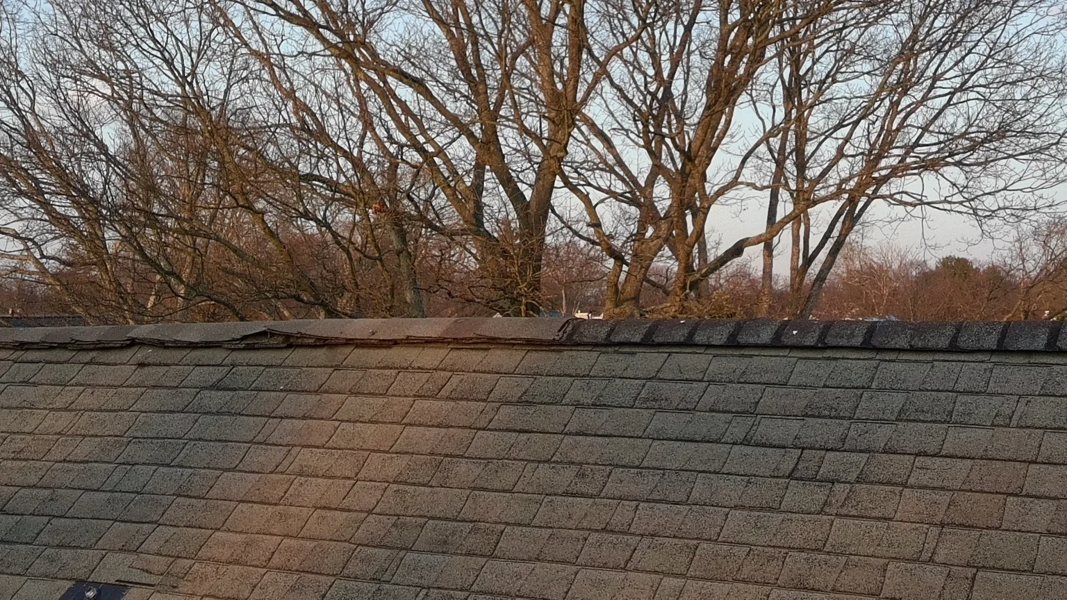 Ronkonkoma Ny Ridge Vent Damage in Ronkonkoma, NY